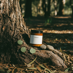 Ironbark eucalyptus and cedarwood soy candle by Saltgrass Co. on a white background