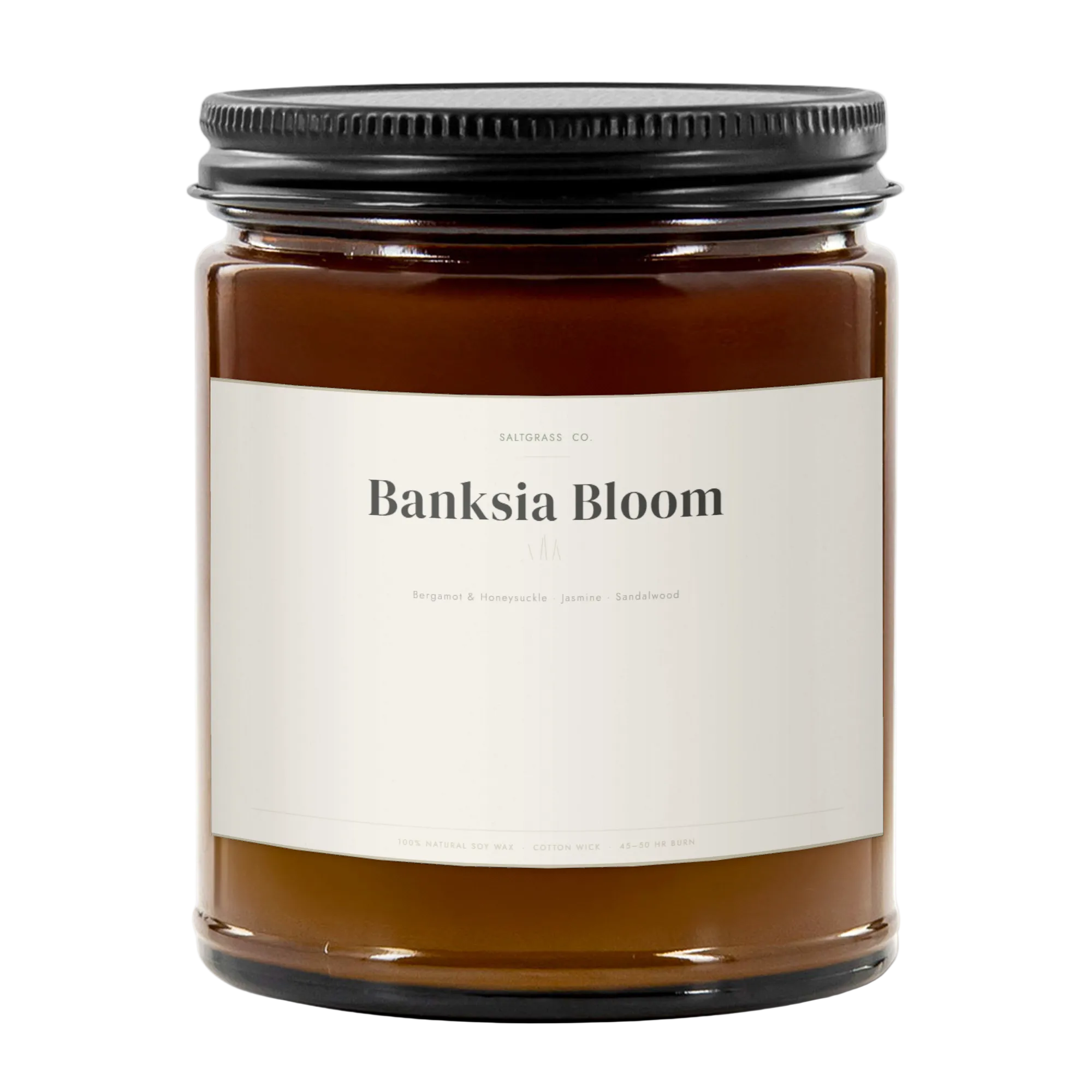 Banksia Bloom